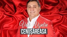 VALI VIJELIE - CENUSAREASA