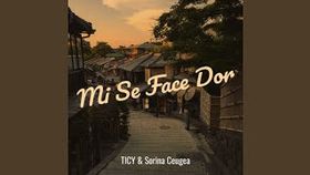 TICY SI SORINA CEUGEA - MI SE FACE DOR