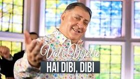 VALI VIJELIE - HAI DIBI, DIBI