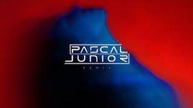 Pascal Junior x Papa Jr. - Ploaia | Remix