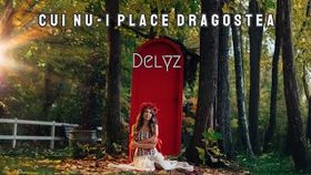 DELYZ - Cui nu-i place dragostea