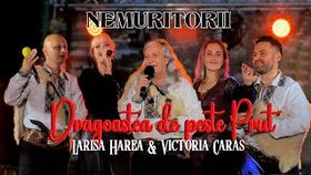 Nemuritorii x Larisa Harea Si Victoria Caras - Dragostea De Peste Prut 2025