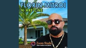 FLORIN MITROI - N-ARE CINE
