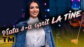 Viata S-A Oprit La Tine - Taraful Lui Mafian Si Sonia