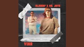 ELIGARF SI MR. JUVE - VINA