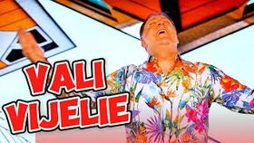 VALI VIJELIE - DE DRAGUL TAU