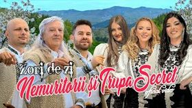 NEMURITORII SI SECRET - ZORI DE ZI