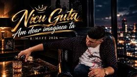 Nicu Guta - Am Doar Imaginea Ta L Remake 2026