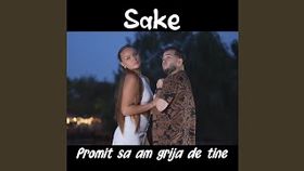 SAKE - PROMIT SA AM GRIJA DE TINE