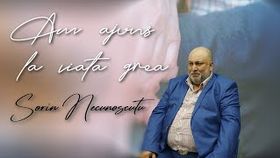 SORIN NECUNOSCUTU - AM AJUNS LA VIATA GREA