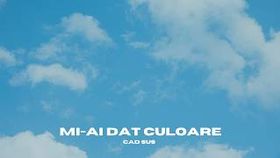 Cad Sus - Mi-Ai Dat Culoare