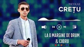 Nicolae Cretu - La O Margine De Drum & Codru ( Cover )