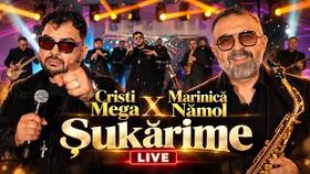 Cristi Mega X Marinica Namol - Sukarime (live Cover)