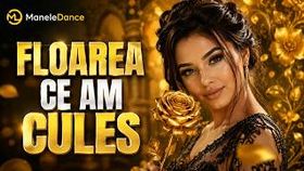 Floarea Ce Am Cules - Din Toate Te-Am Ales Pe Tine