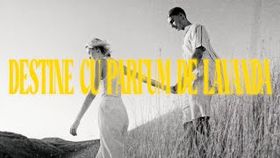 Juno - Destine Cu Parfum De Lavanda