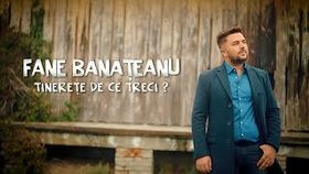 FANE BANATEANU - TINERETE DE CE TRECI