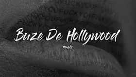 Tzanca Uraganu, Laura Bruma - Buze de Hollywood (Dj Kala Remix)