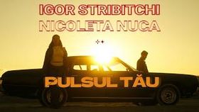 Igor Stribitchi x Nicoleta Nuca - Pulsul Tau