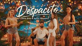 Deniz Brizo x Auras Filionescu - Despacito