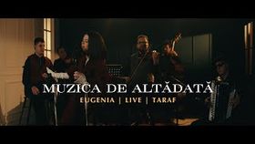 Eugenia Nicolae - Spune, Spune Pui De Corb