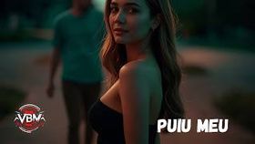 Viabalkanic Music - Puiu Meu