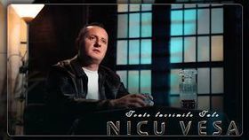 Nicu Vesa - Toate Lacrimile Tale