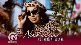 Narcisa - Ce Inima Ai Golane