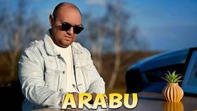 Arabu - Viata Mea