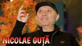 NICOLAE GUTA - ANII CU ANII