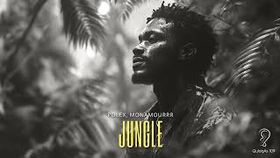 POLEX x MonAmourrr - Jungle