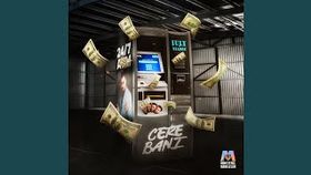 IULY NEAMTU - CERE BANI