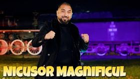 NICUSOR MAGNIFICUL - MA ASTEAPTA FAMILIA